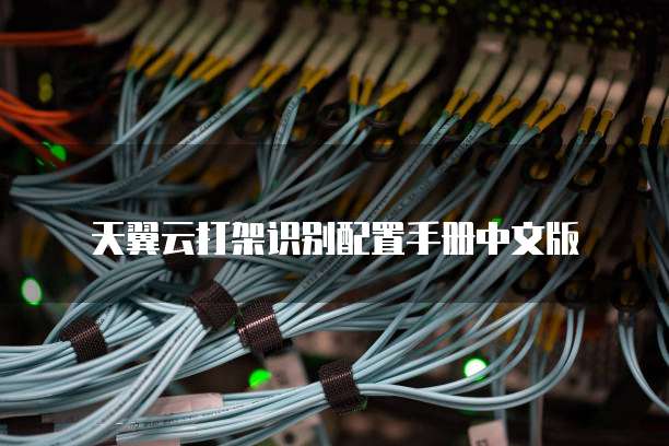 天翼云打架识别配置手册中文版