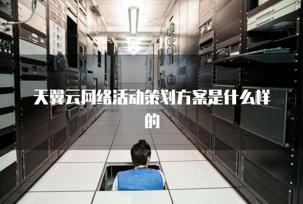 天翼云网络活动策划方案是什么样的