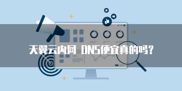 天翼云内网 DNS便宜真的吗?