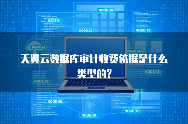 天翼云数据库审计收费依据是什么类型的?