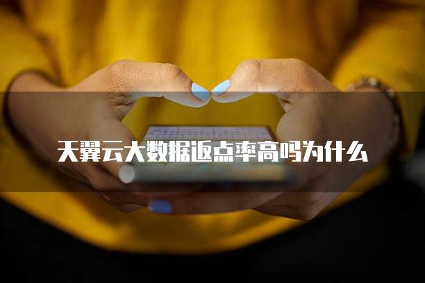天翼云大数据返点率高吗为什么