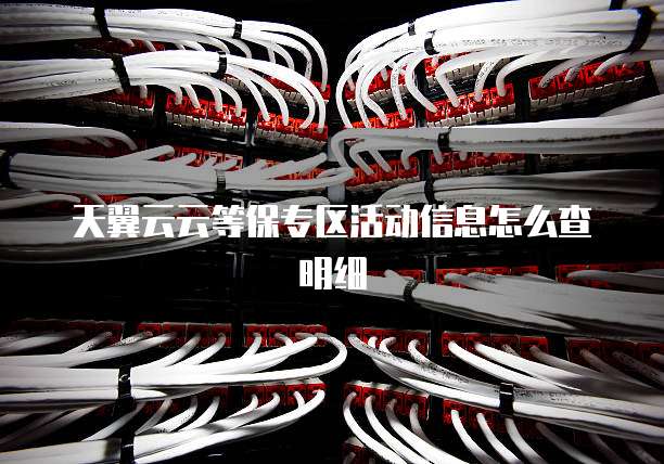 天翼云云等保专区活动信息怎么查明细