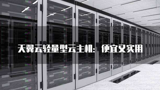 天翼云轻量型云主机:便宜又实用