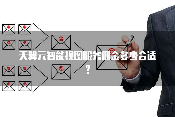 天翼云智能视图服务佣金多少合适?