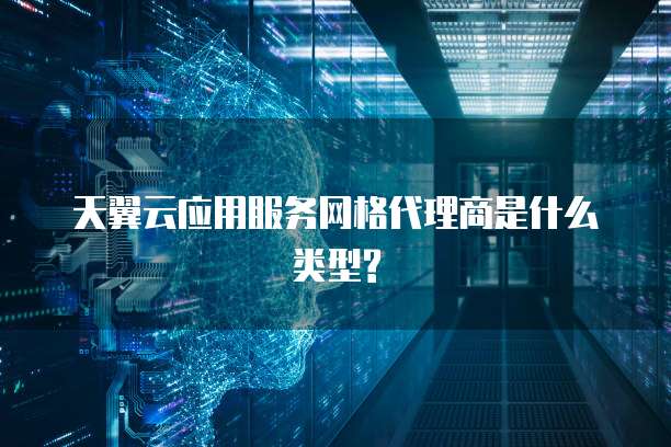 天翼云应用服务网格代理商是什么类型?