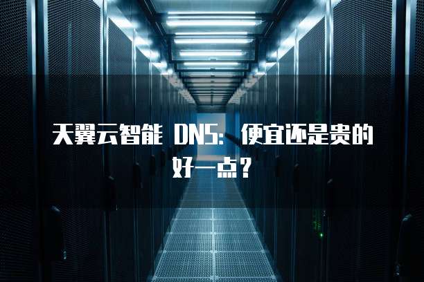 天翼云智能 DNS:便宜还是贵的好一点?