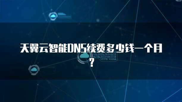 天翼云智能DNS续费多少钱一个月?