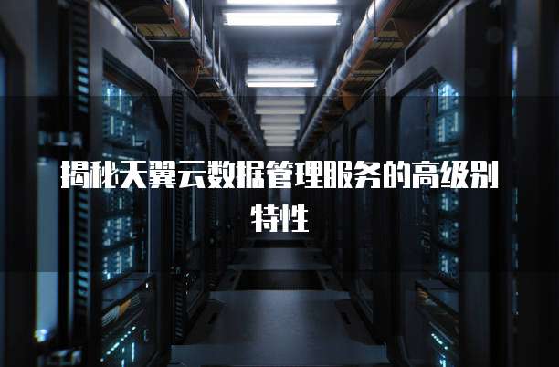 揭秘天翼云数据管理服务的高级别特性