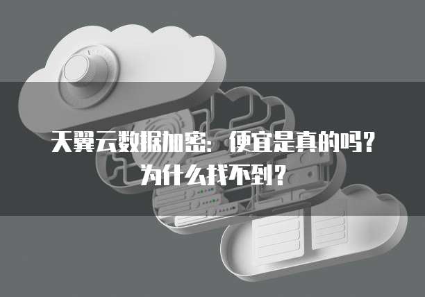 天翼云数据加密:便宜是真的吗?为什么找不到?
