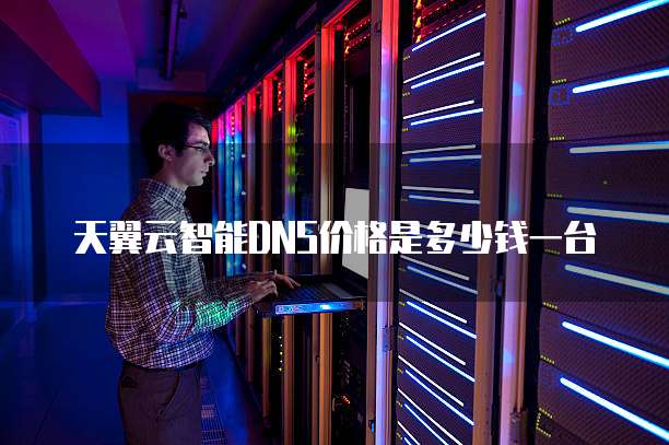 天翼云智能DNS价格是多少钱一台