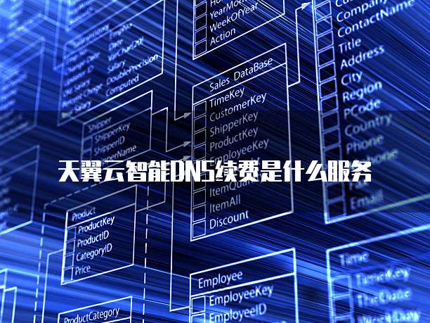 天翼云智能DNS续费是什么服务