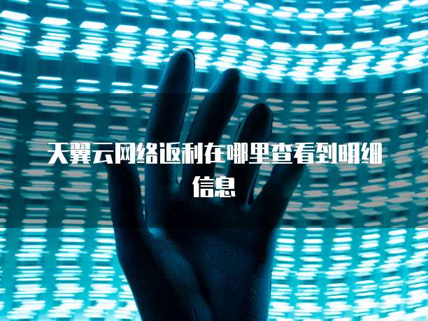 天翼云网络返利在哪里查看到明细信息