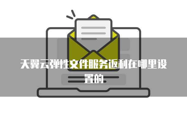 天翼云弹性文件服务返利在哪里设置的