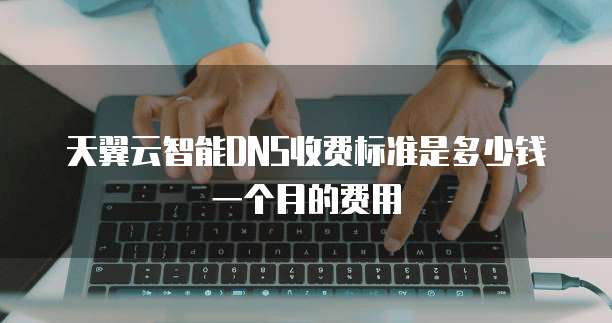 天翼云智能DNS收费标准是多少钱一个月的费用