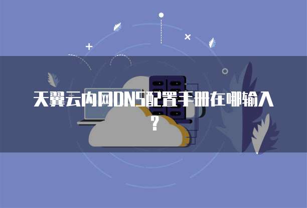 天翼云内网DNS配置手册在哪输入?