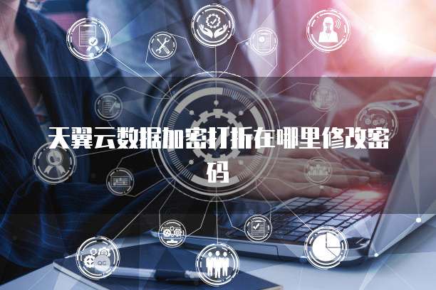 天翼云数据加密打折在哪里修改密码