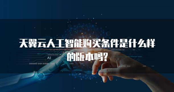 天翼云人工智能购买条件是什么样的版本吗?