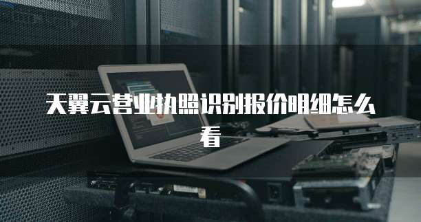 天翼云营业执照识别报价明细怎么看