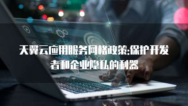 天翼云应用服务网格政策:保护开发者和企业隐私的利器