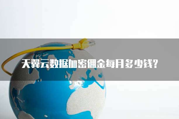 天翼云数据加密佣金每月多少钱?
