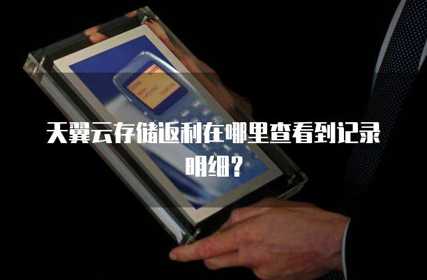 天翼云存储返利在哪里查看到记录明细?