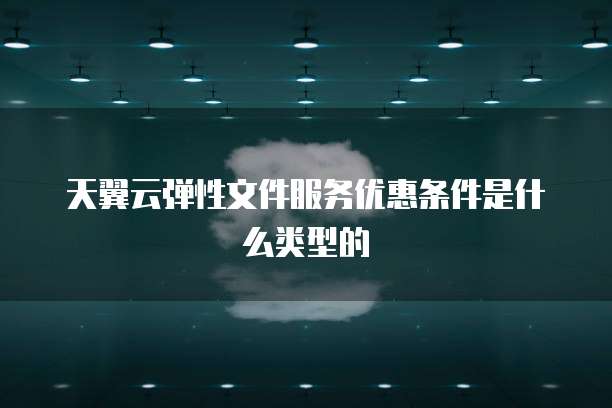 天翼云弹性文件服务优惠条件是什么类型的
