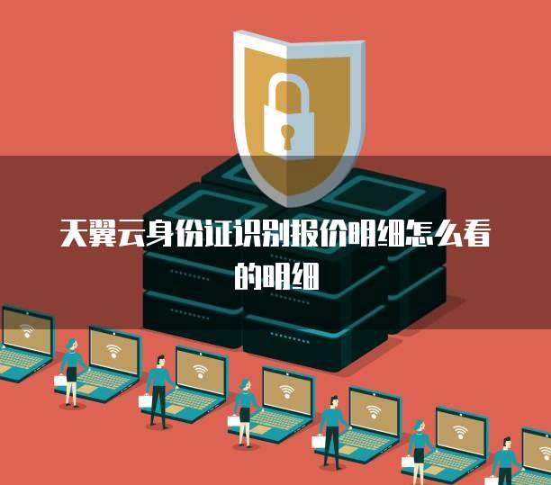 天翼云身份证识别报价明细怎么看的明细