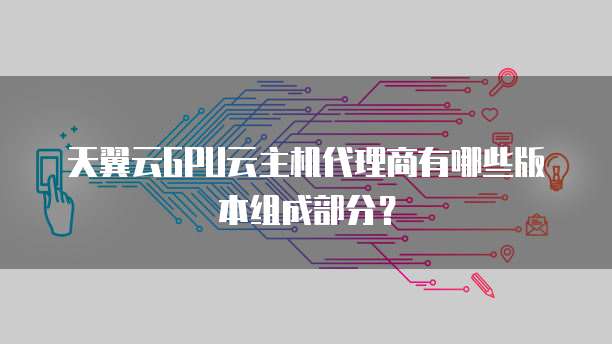 天翼云GPU云主机代理商有哪些版本组成部分？
