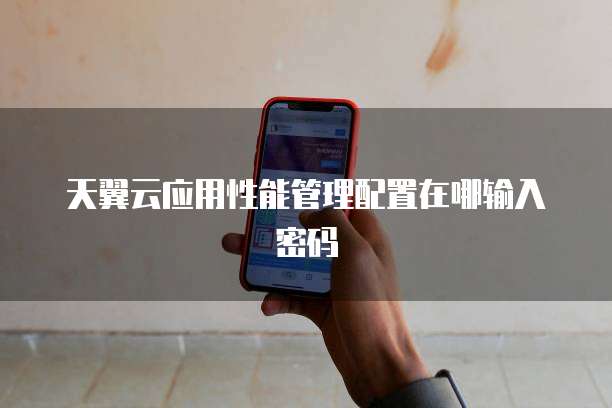 天翼云应用性能管理配置在哪输入密码
