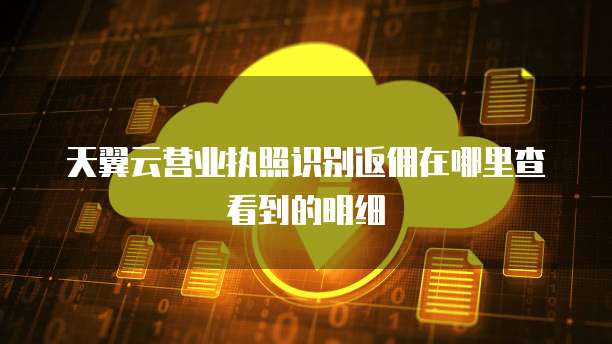 天翼云营业执照识别返佣在哪里查看到的明细