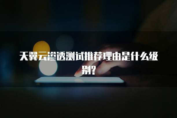 天翼云渗透测试推荐理由是什么级别?