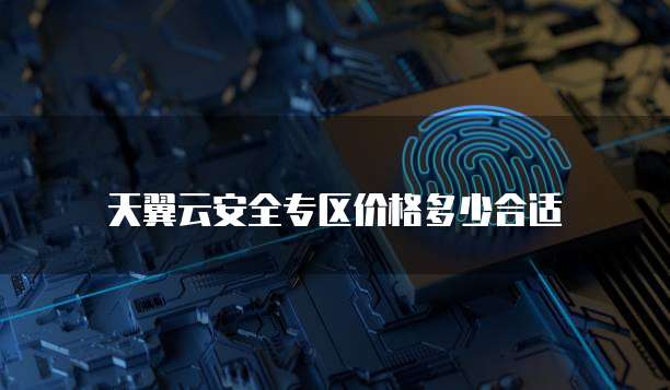 天翼云安全专区价格多少合适