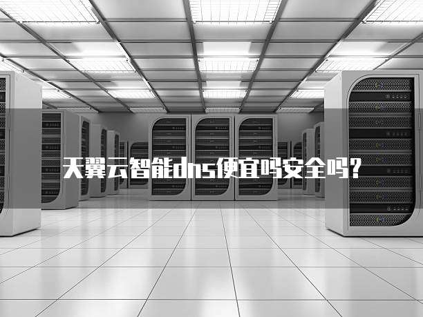 天翼云智能dns便宜吗安全吗？
