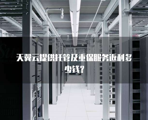 天翼云提供托管及重保服务返利多少钱?