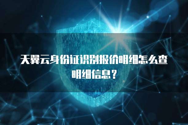 天翼云身份证识别报价明细怎么查明细信息?