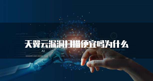 天翼云漏洞扫描便宜吗为什么