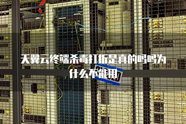 天翼云终端杀毒打折是真的吗吗为什么不能用