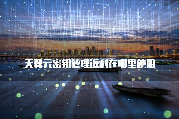 天翼云密钥管理返利在哪里使用