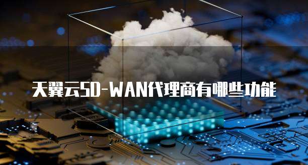 天翼云SD-WAN代理商有哪些功能