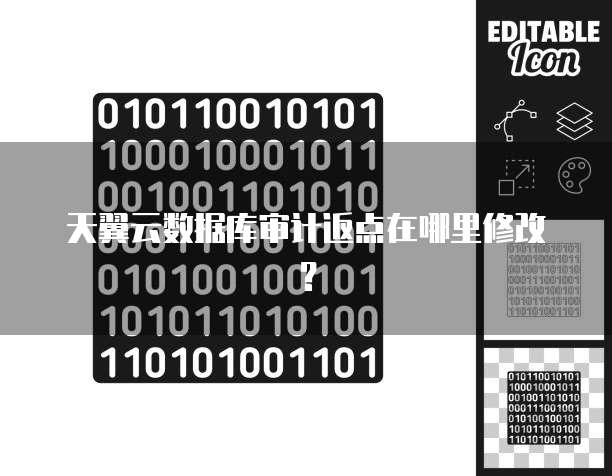 天翼云数据库审计返点在哪里修改?