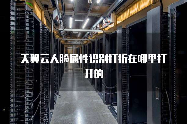 天翼云人脸属性识别打折在哪里打开的