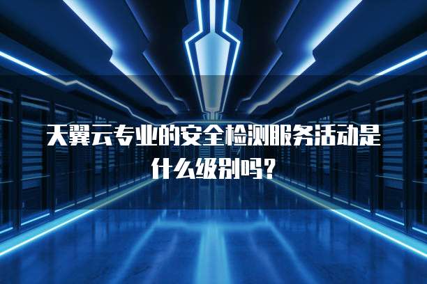 天翼云专业的安全检测服务活动是什么级别吗？