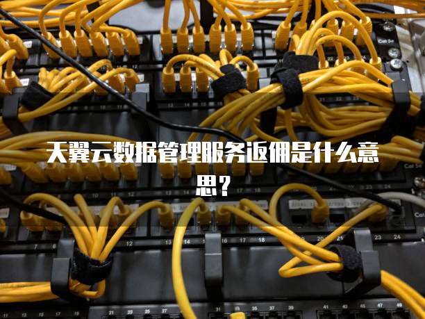 天翼云数据管理服务返佣是什么意思?