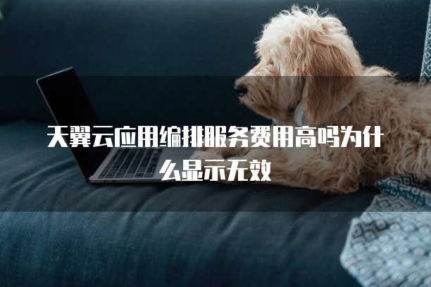 天翼云应用编排服务费用高吗为什么显示无效