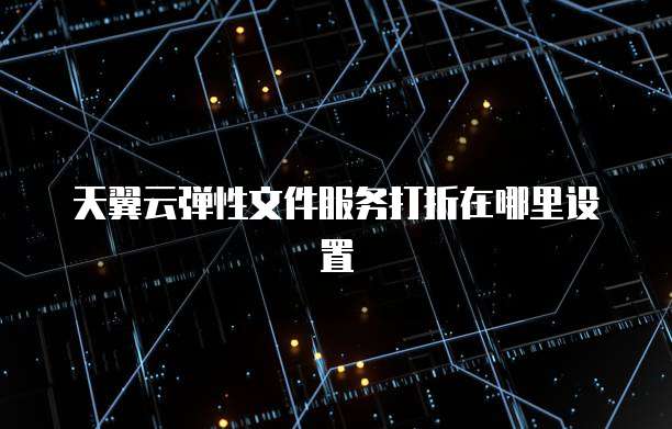 天翼云弹性文件服务打折在哪里设置