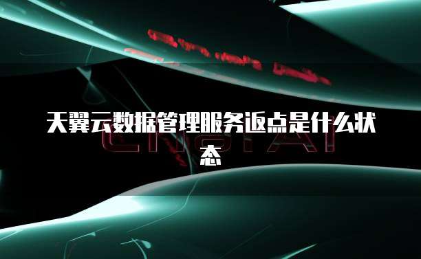 天翼云数据管理服务返点是什么状态