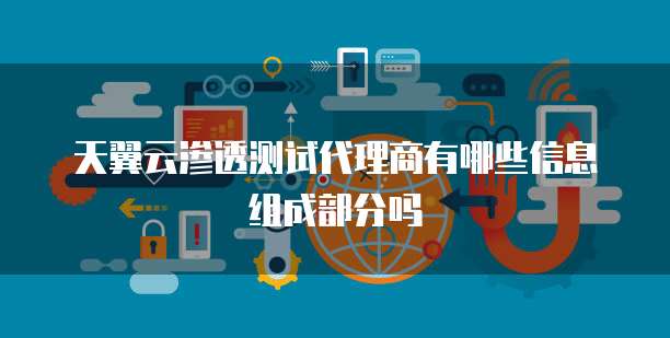 天翼云渗透测试代理商有哪些信息组成部分吗