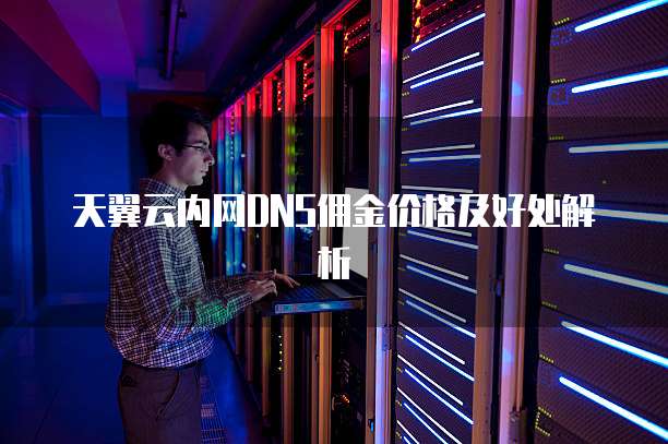天翼云内网DNS佣金价格及好处解析