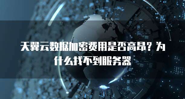 天翼云数据加密费用是否高昂?为什么找不到服务器
