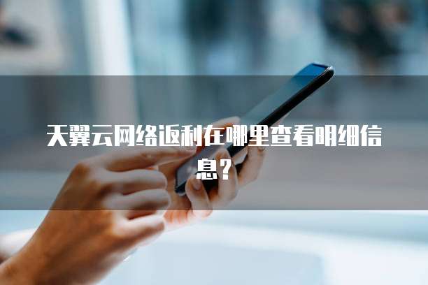 天翼云网络返利在哪里查看明细信息?